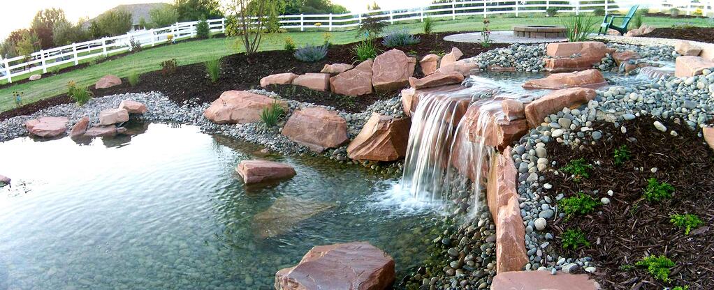 Backyard water feature