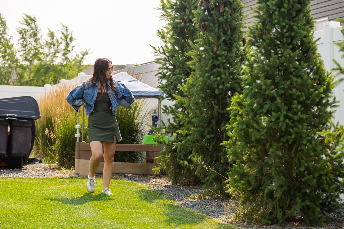 client yard messy external problem evergreen tree