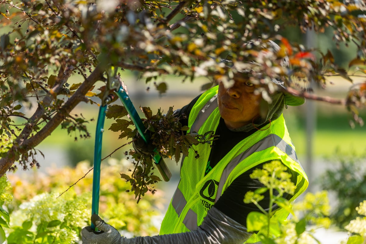 crew safety action service maintenance plants pruning 2