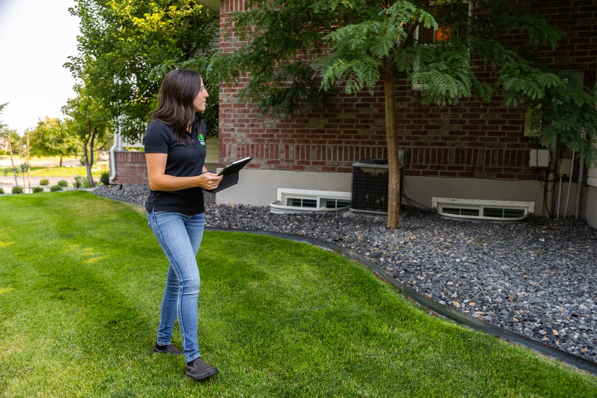 design measure site survey staff turf lawn grass 13