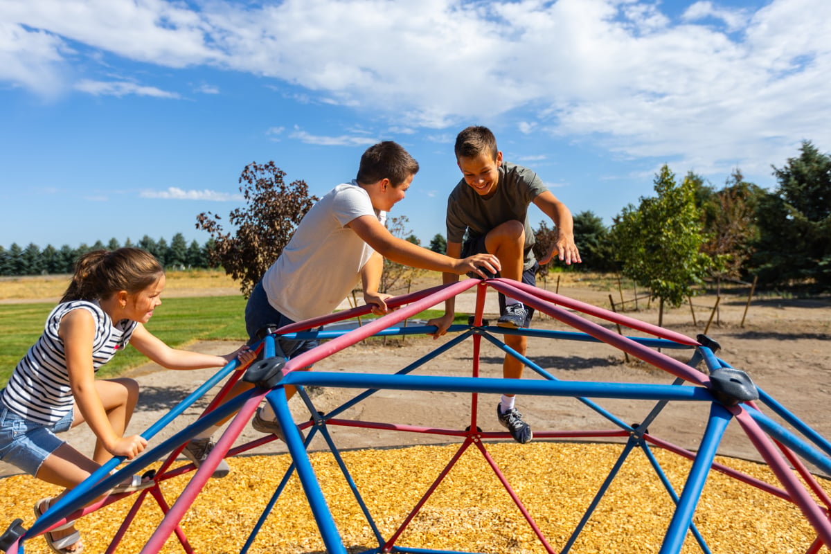 customer family kids playing playground trees backyard 3