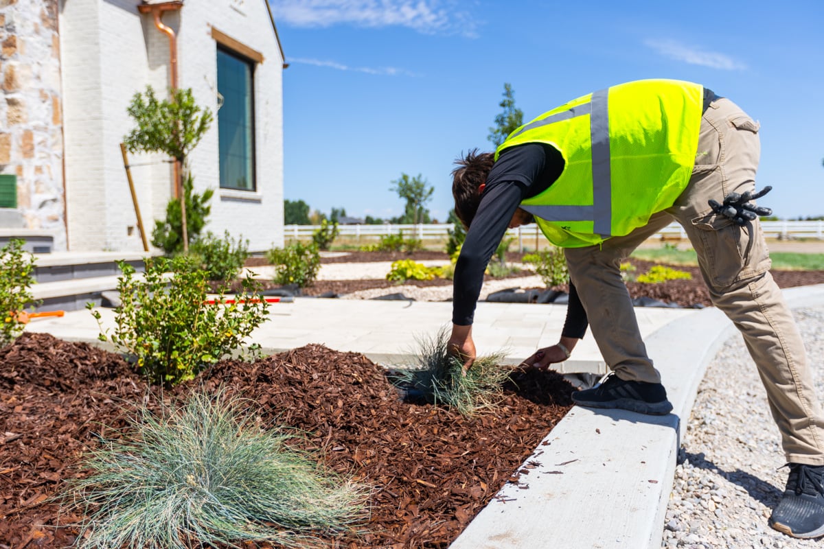 installation crew team planting mulch 2
