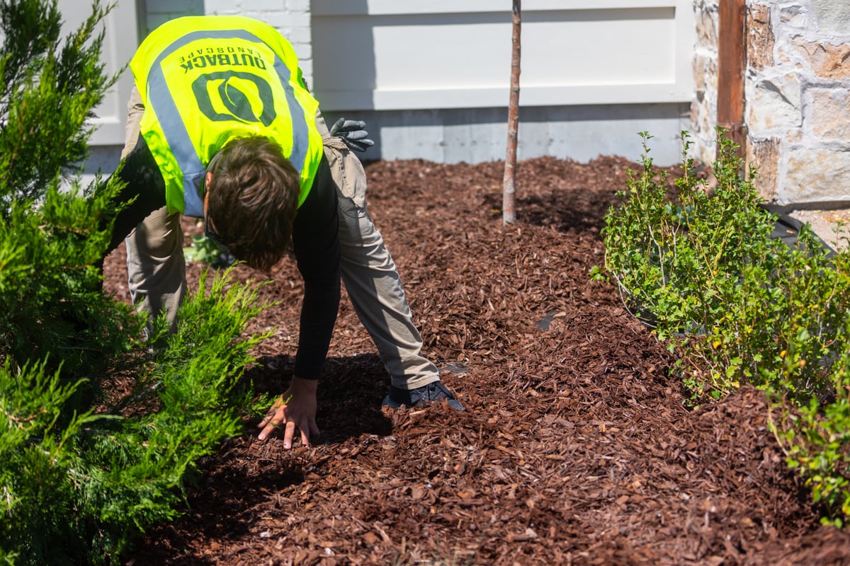 maintenance crew team mulch installation foundation planting beds 11