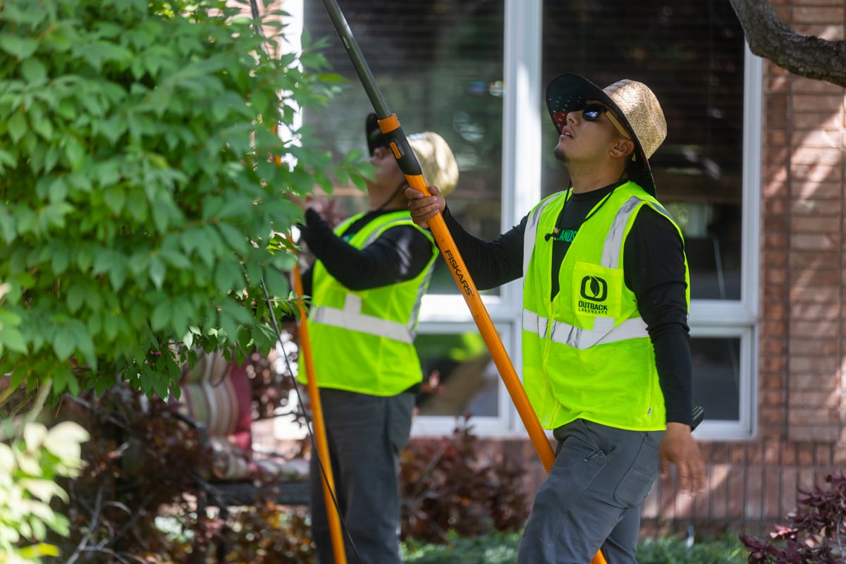 residential maintenance tree trimming prune crew team lawn 4