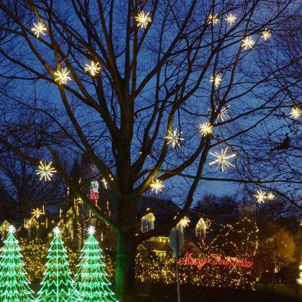 Starbursts  Holiday Lights on Tree