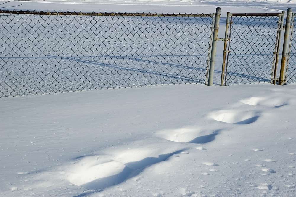 tracks in snow in apartment complex