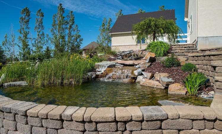 water feature in landscape