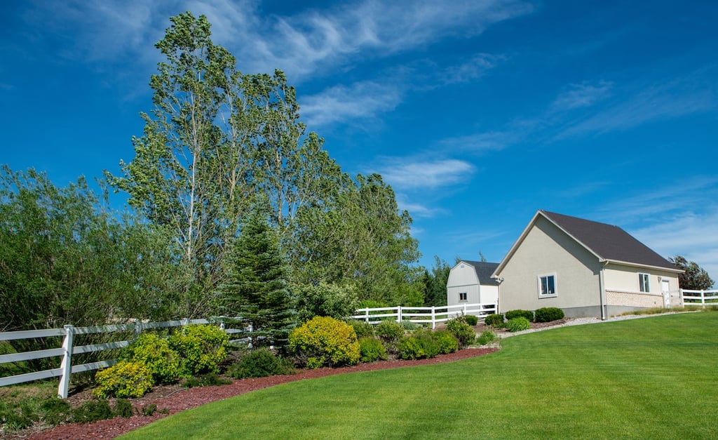 lawn with weekly mowing