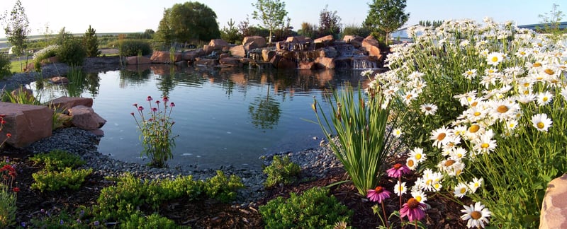 how much does a water feature cost in rexburg idaho