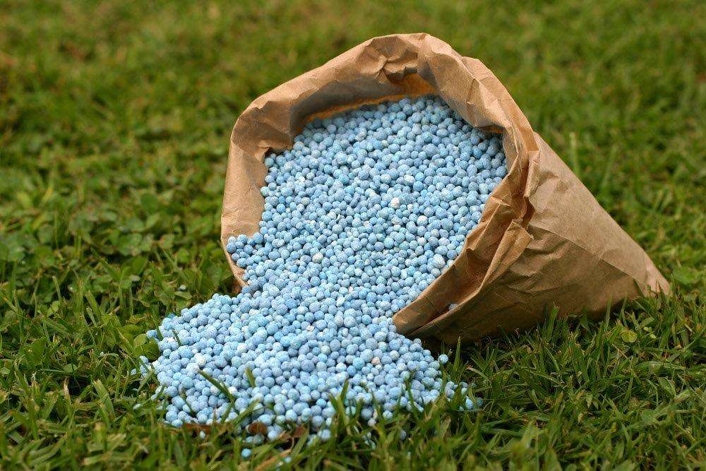 bag of blue fertilizer on grass