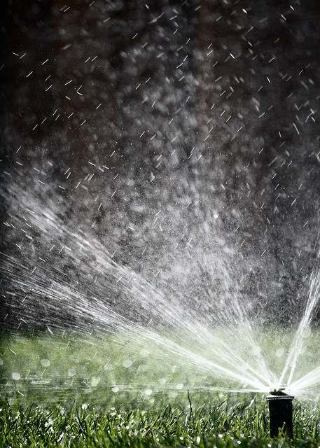 Best cheap sprinkler heads