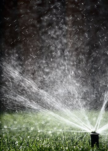 Review: The Best Residential Sprinkler Heads for Your Property