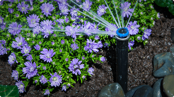 sprinkler head waters flowers