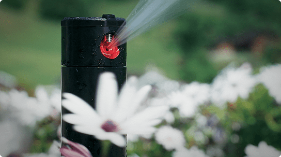 sprinkler head waters flowers