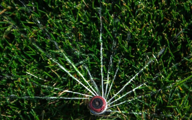 Irrigation system head