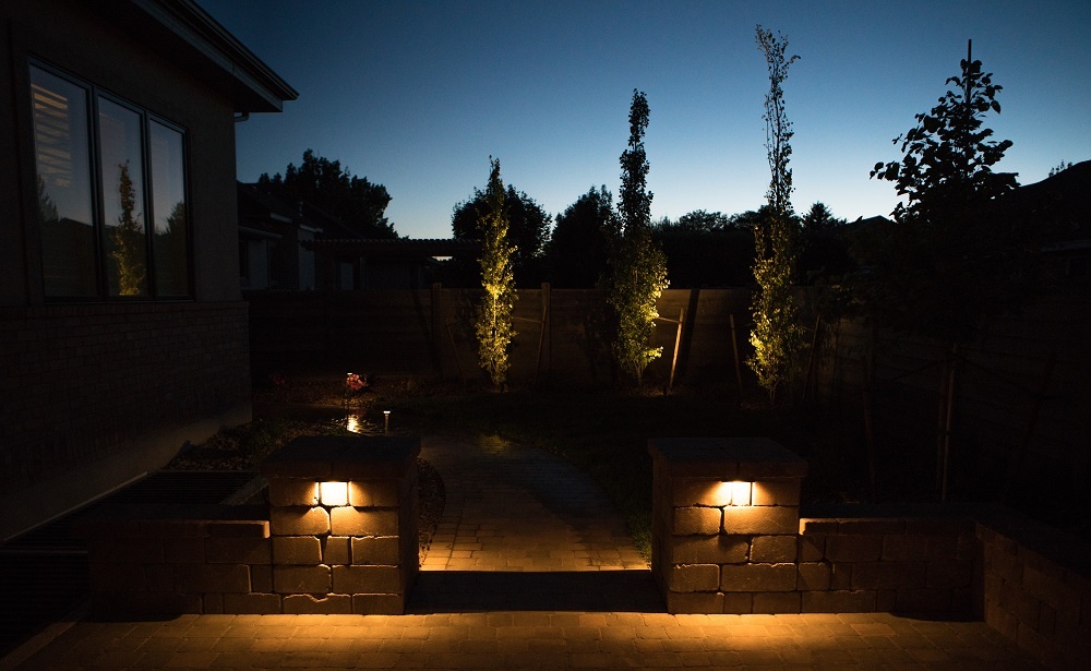 Patio downlights and tree uplights