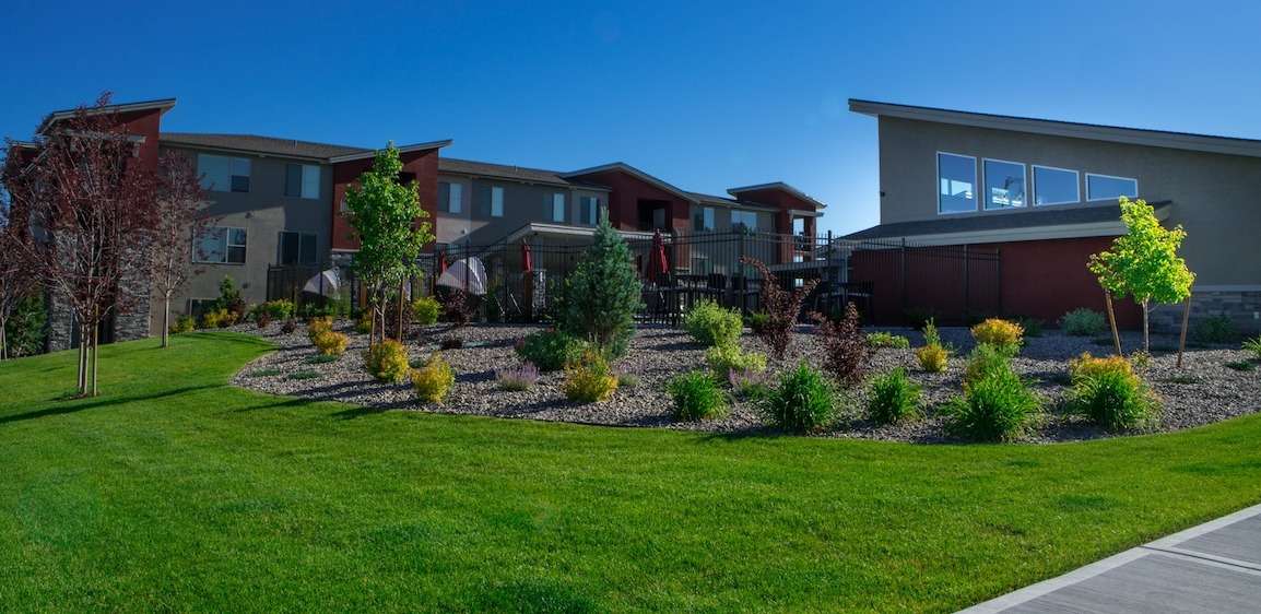 plantings in mulch near pool area