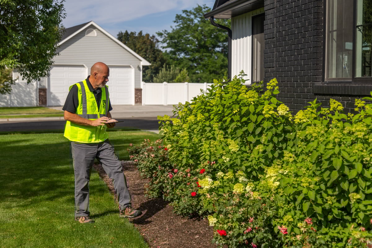 account manager inspection site plants health custoemr service quality check