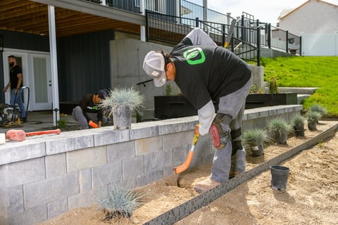 crew construction install planting grass perennial