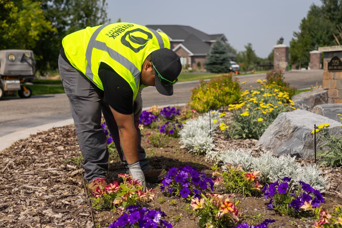 crew weeding annuals flowers color beds plants action boulders mulch 2