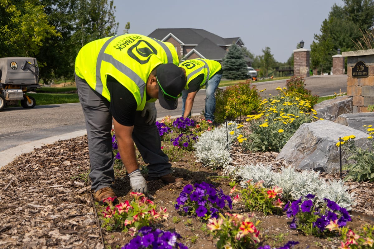 crew weeding annuals flowers color beds plants action boulders mulch