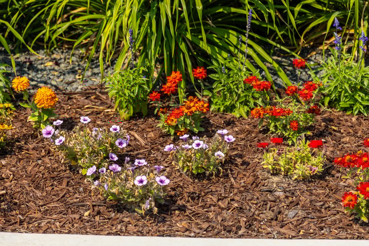 planter bed with mulch and flowers
