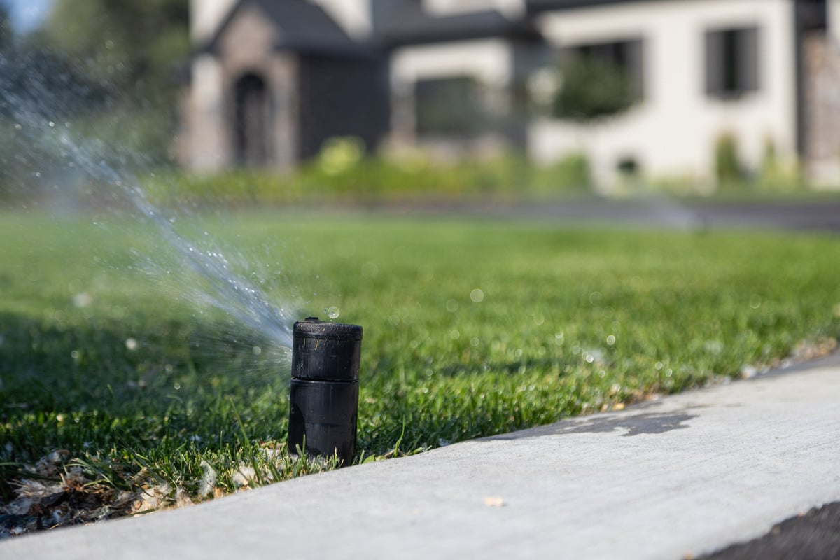 irrigation sprinkler water turf grass green lawn driveway home house 2