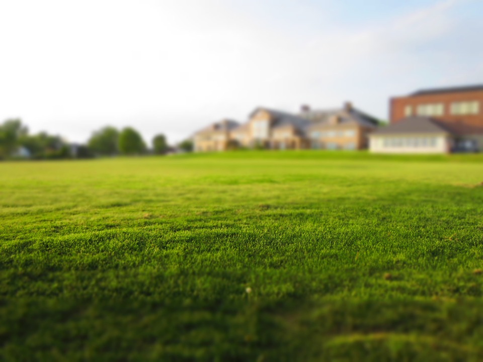 healthy lawn in front of home