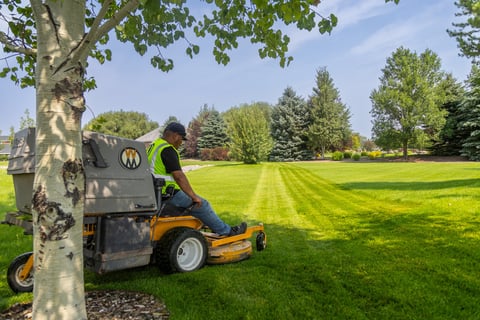 maintenance mow lines green grass lawn turf crew action 11