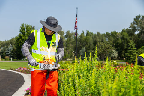 maintenance trim crew safety plants