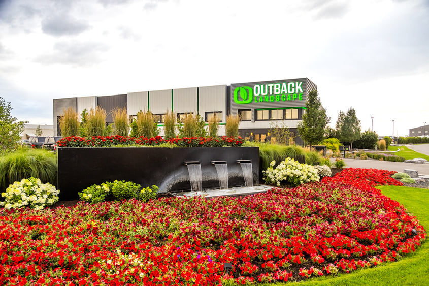 office flowers annuals color outback grass green turf lawn boulders trees water feature waterfall