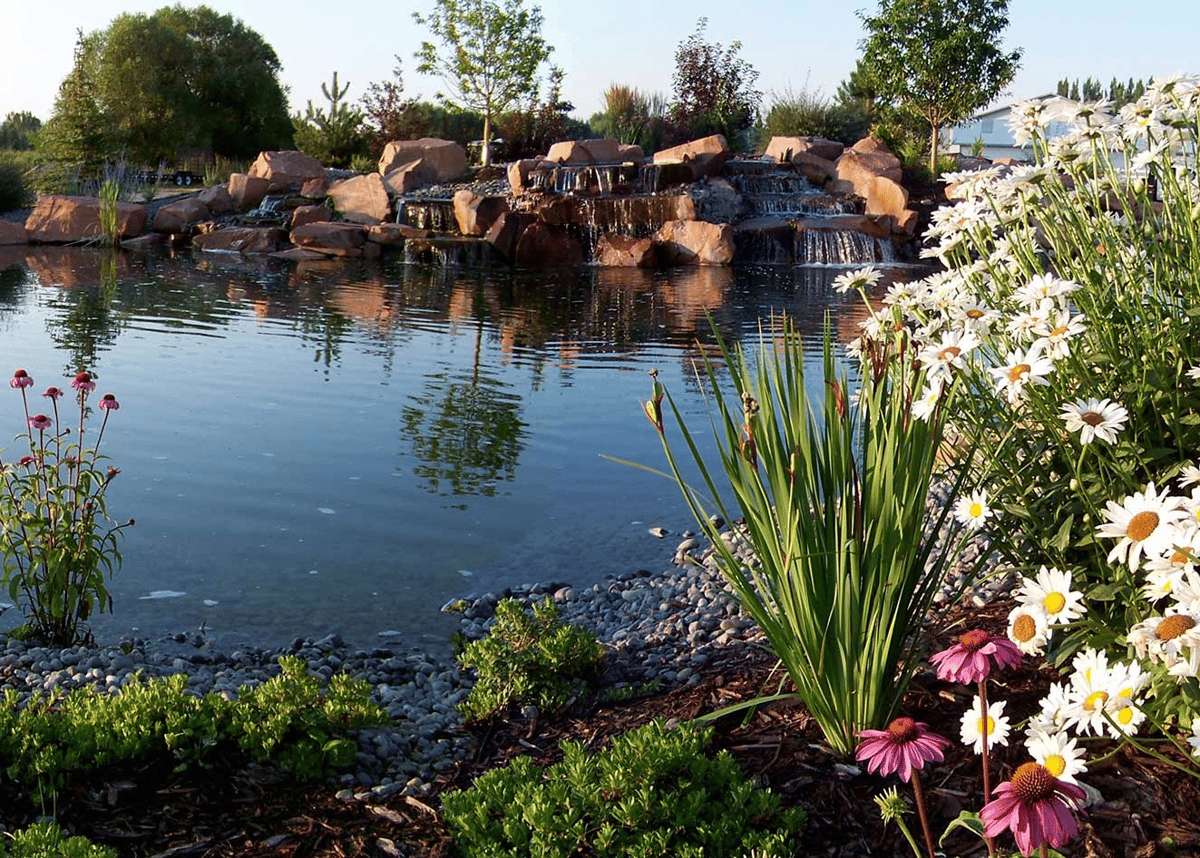 pond with plantings and natural water falls