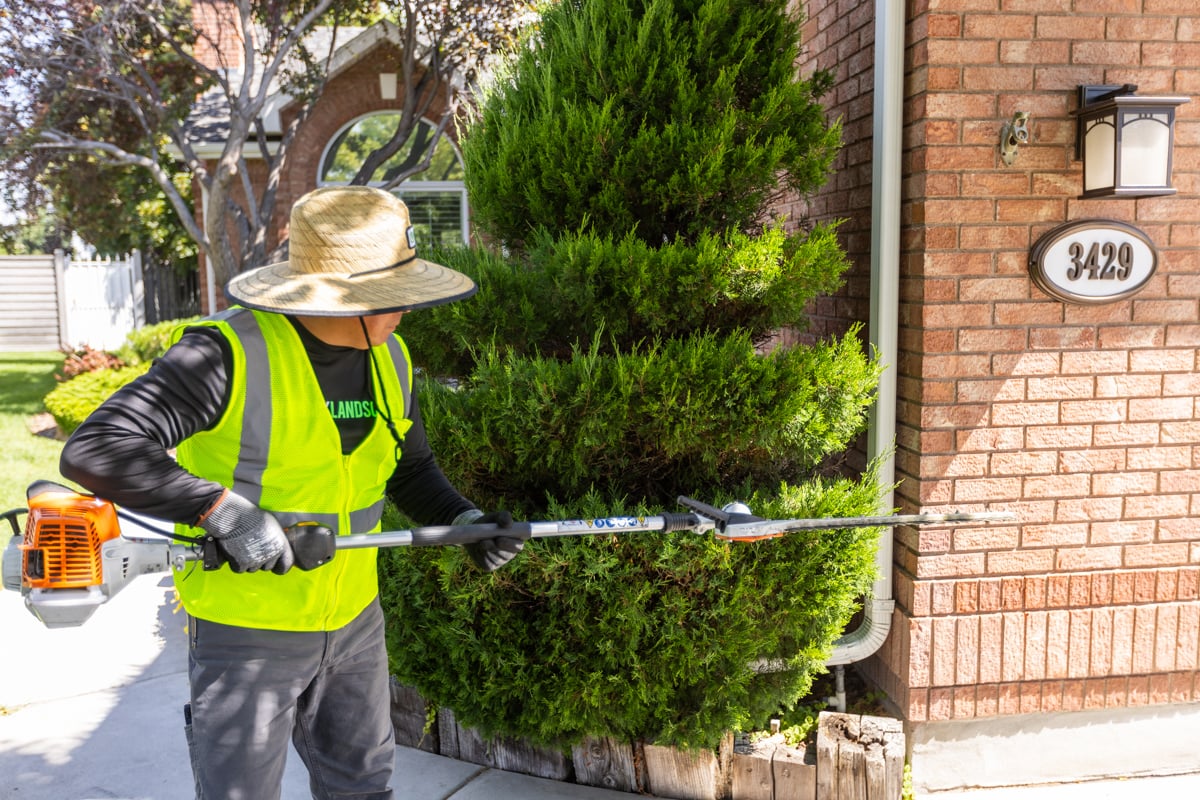 residential maintenance crew team trim prune shrubs plants bed topiary 3