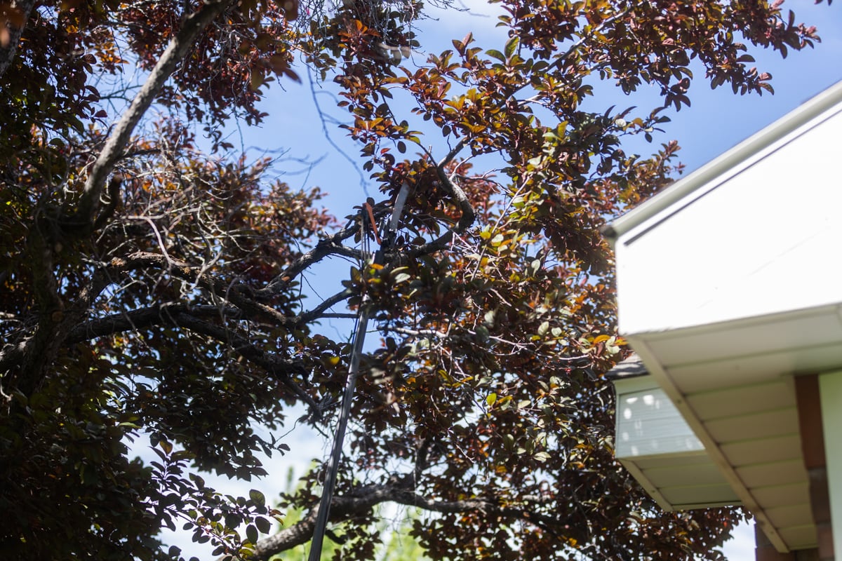 residential maintenance crew tree trimming cleanup 3