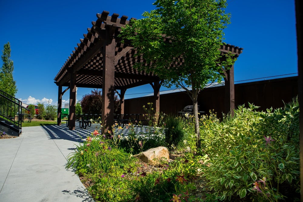 pergola near plantings with picnic tables