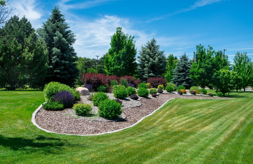landscape bed with mulch and plantings