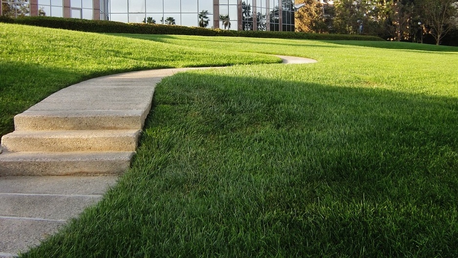 concrete sidewalk with cracks