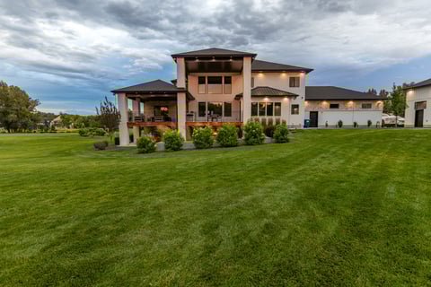 turf grass green lawn lines lighting shrubs plants home house
