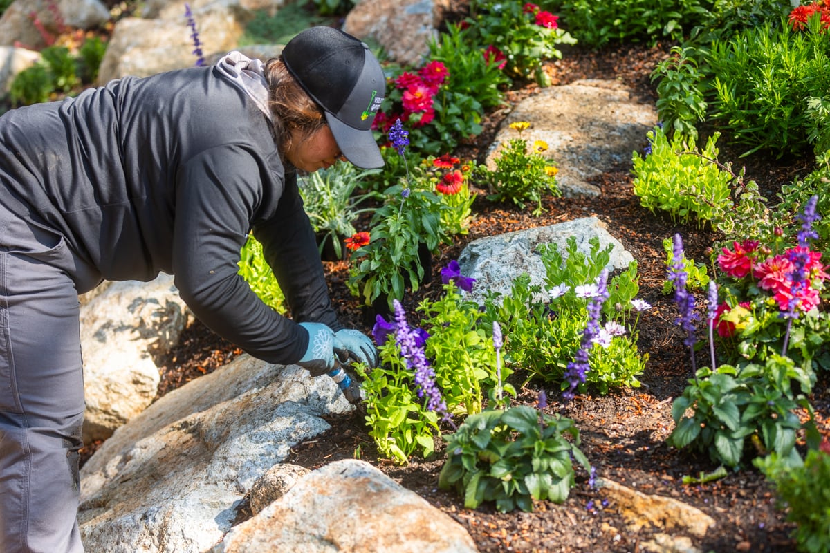 crew team maintenance planting annuals flowers 2 (1)