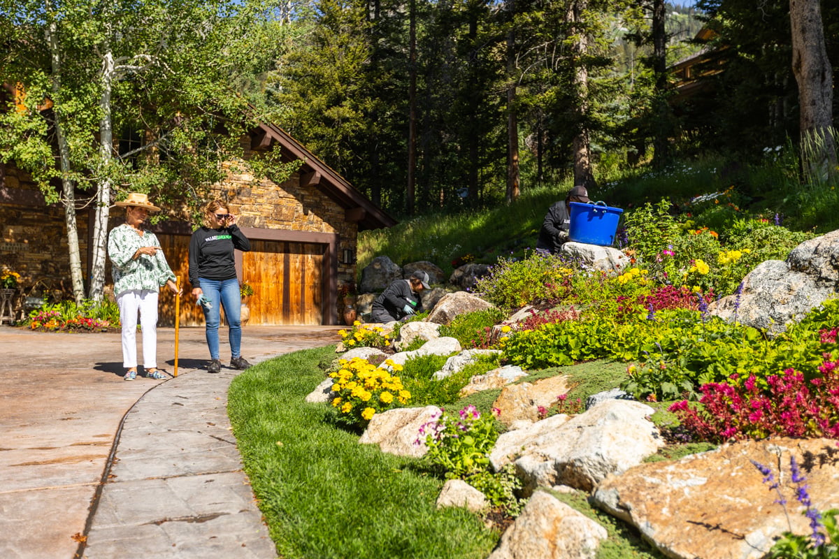 crew team maintenance weeding large planting bed boulders groundcover perennials hillside customer account manager 3