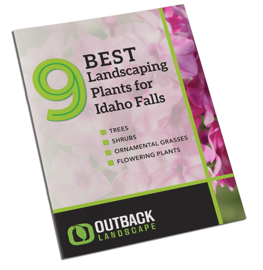 Best Landscaping Plants For Idaho Falls Outback Landscape Idaho Falls