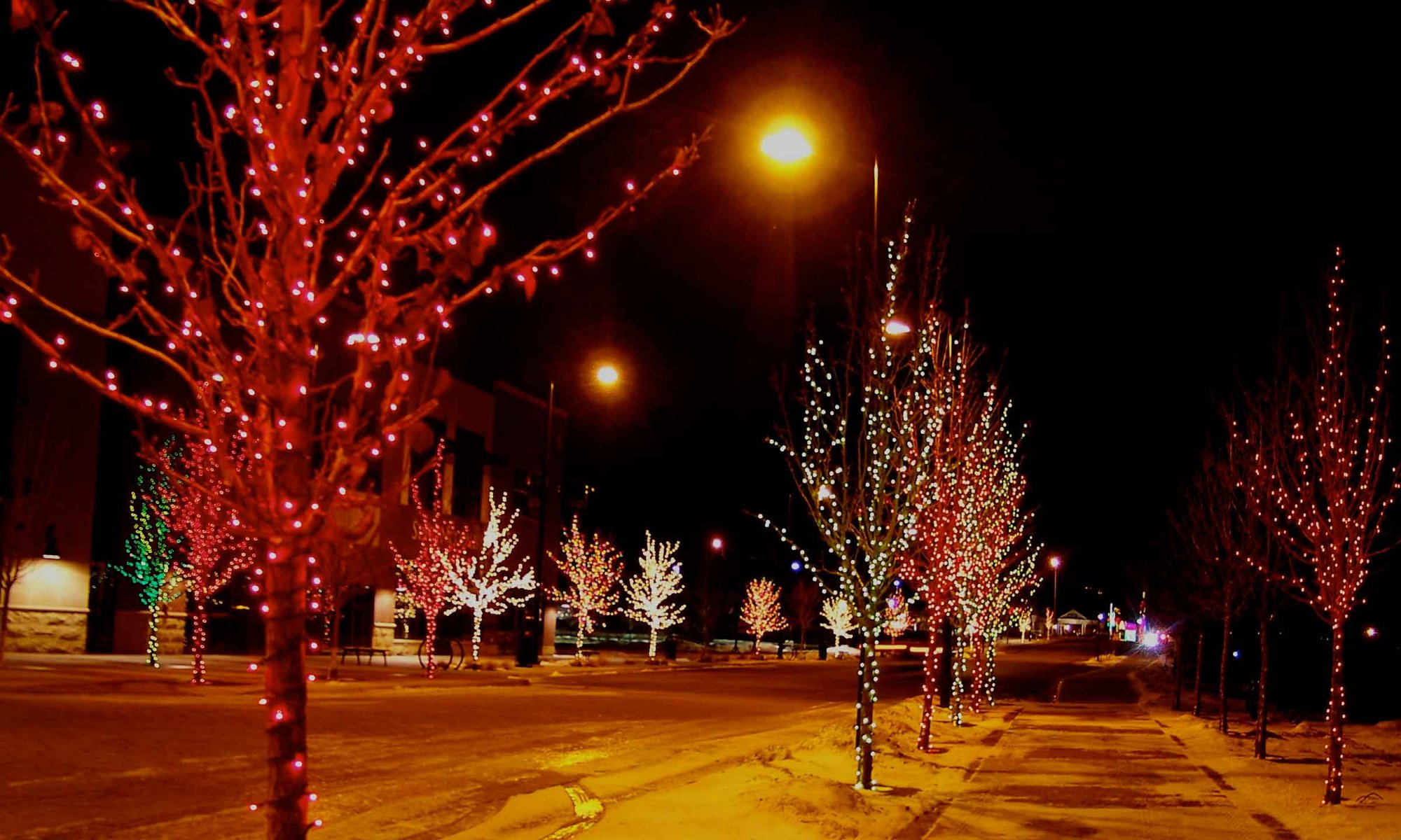 wrapped-christmas-lights