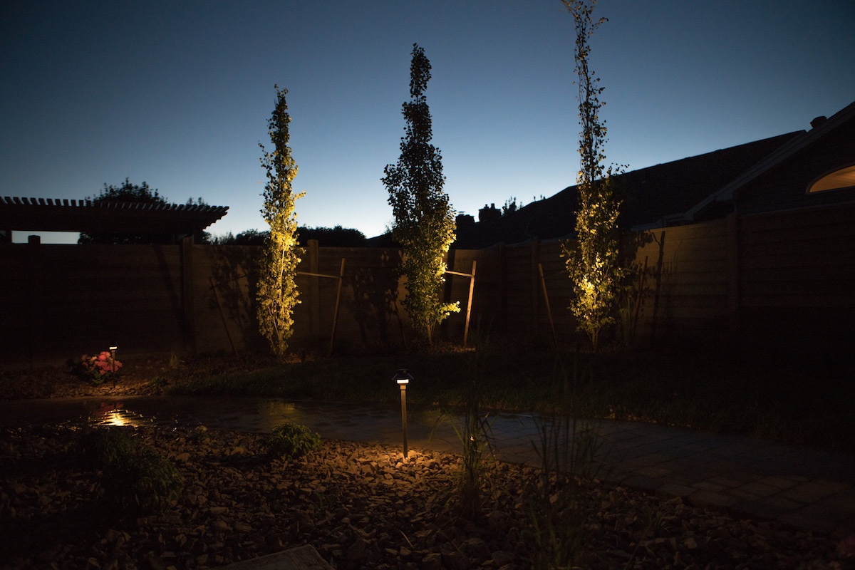 landscape lighting on trees and near walkway