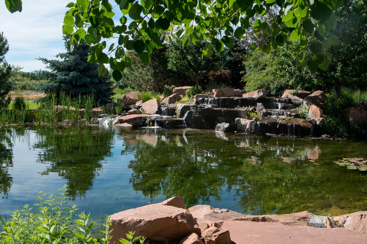 pond with rocks and natural plantings