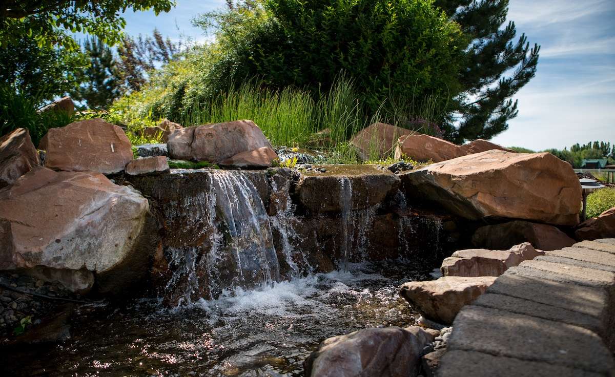 waterfall and pond water feature in backyard