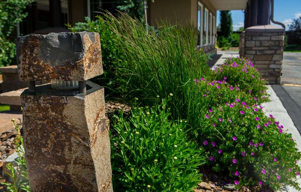 flowers and grasses in landscaping bed near building