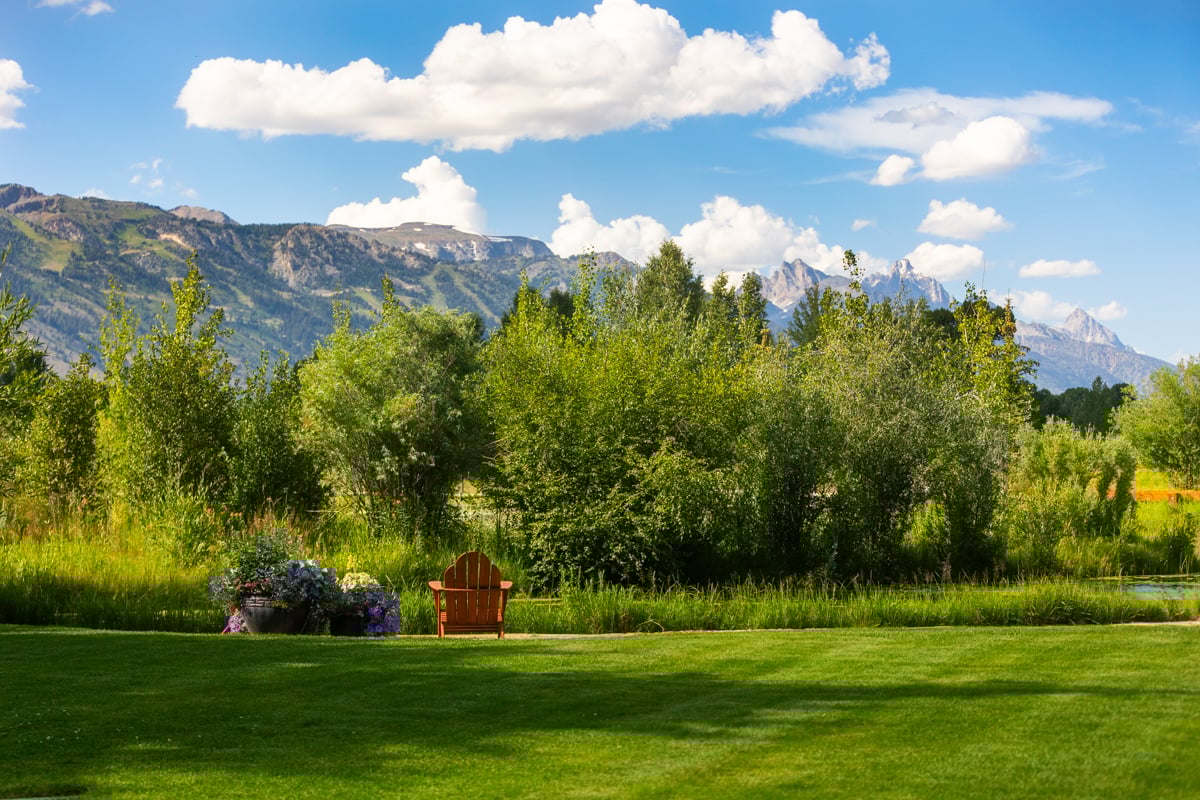 lawn horizon mountains trees nice (1)