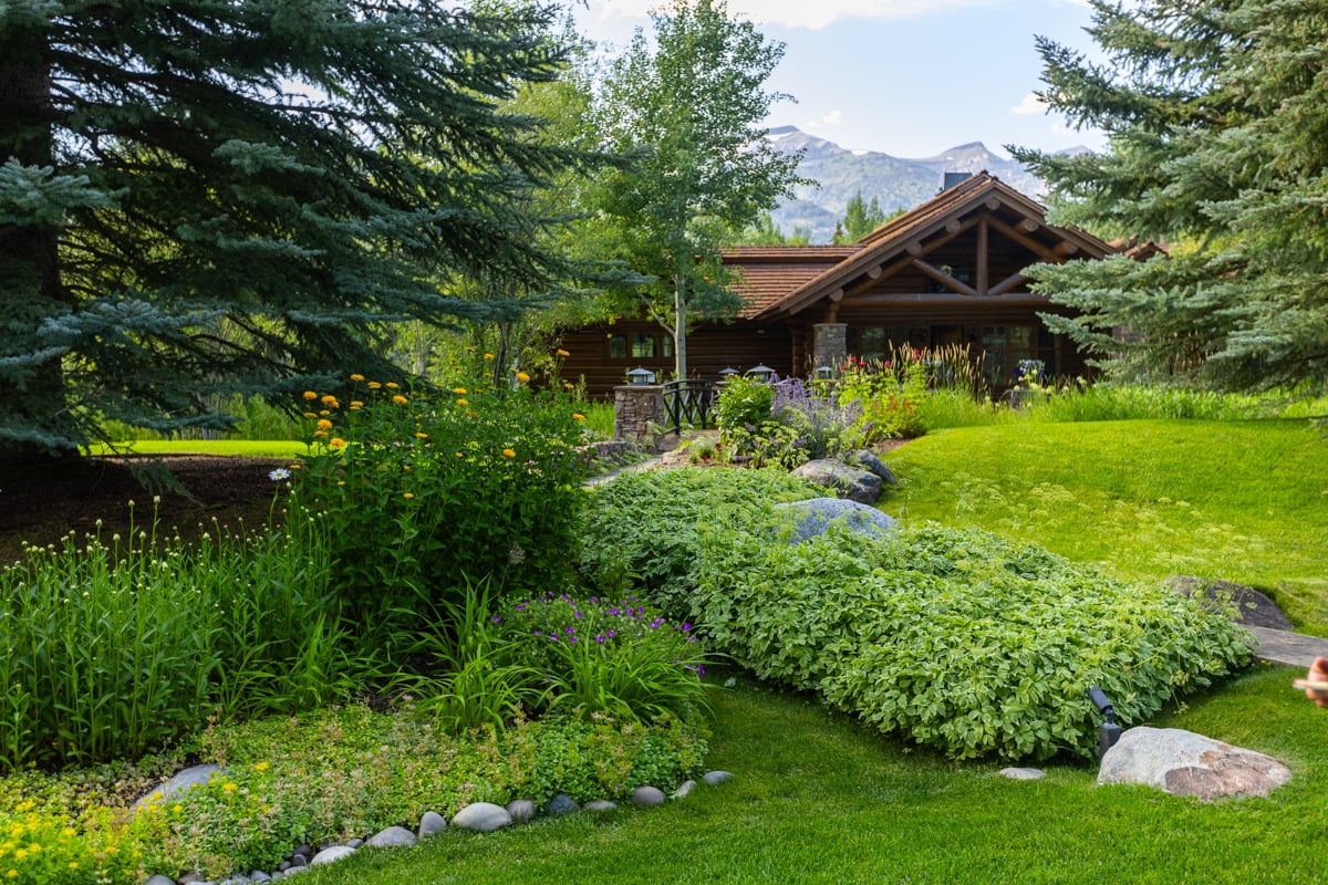 lawn walkway trees groundcover planting beds perennials (1)