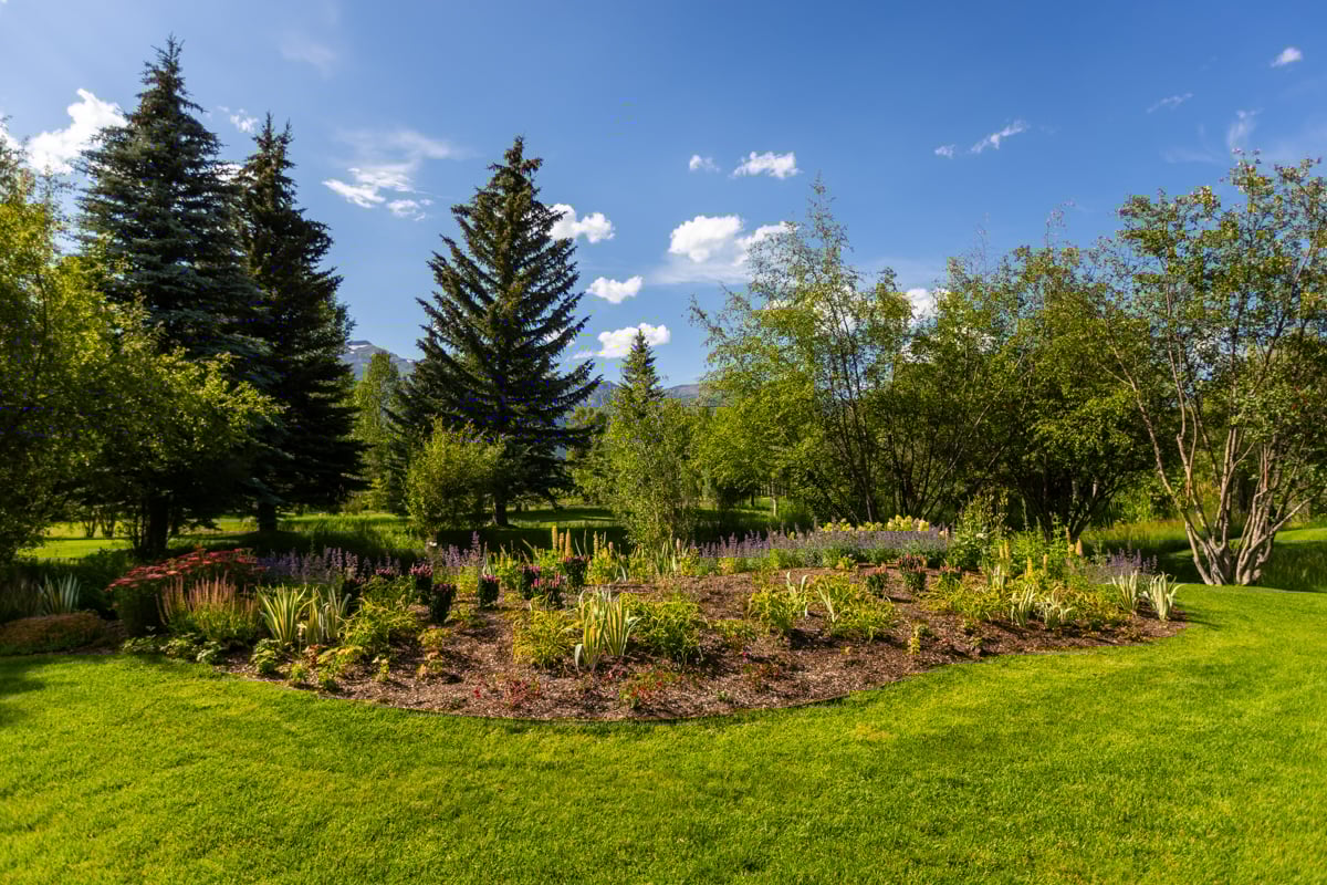 planting bed and lawn