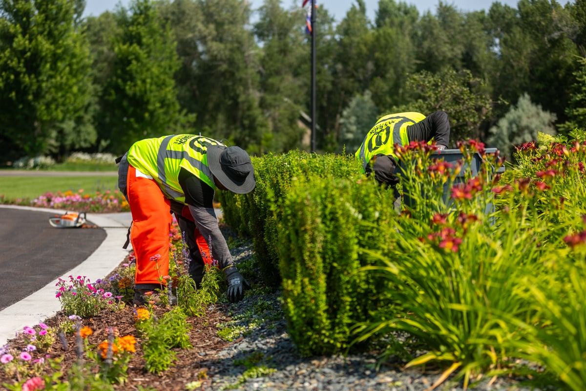 crew safety action service maintenance plants 12